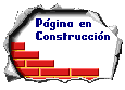 Pagina en Construccion